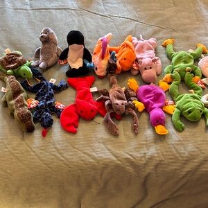 Ty Beanie Babies / sea creatures